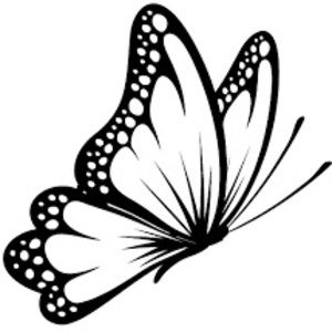 Meet your Posher, Dominique